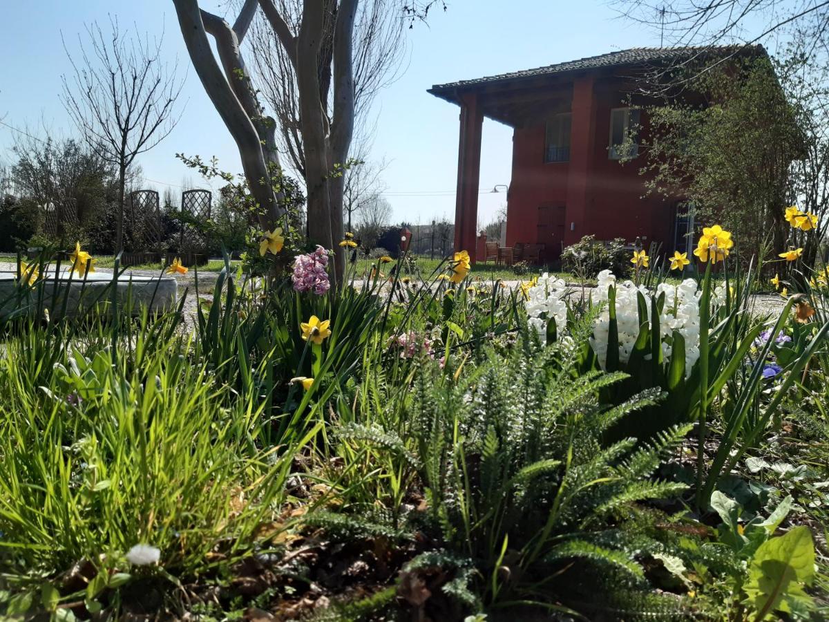 Santa Maria Di Lorgana Bed & Breakfast Minerbio Exterior photo